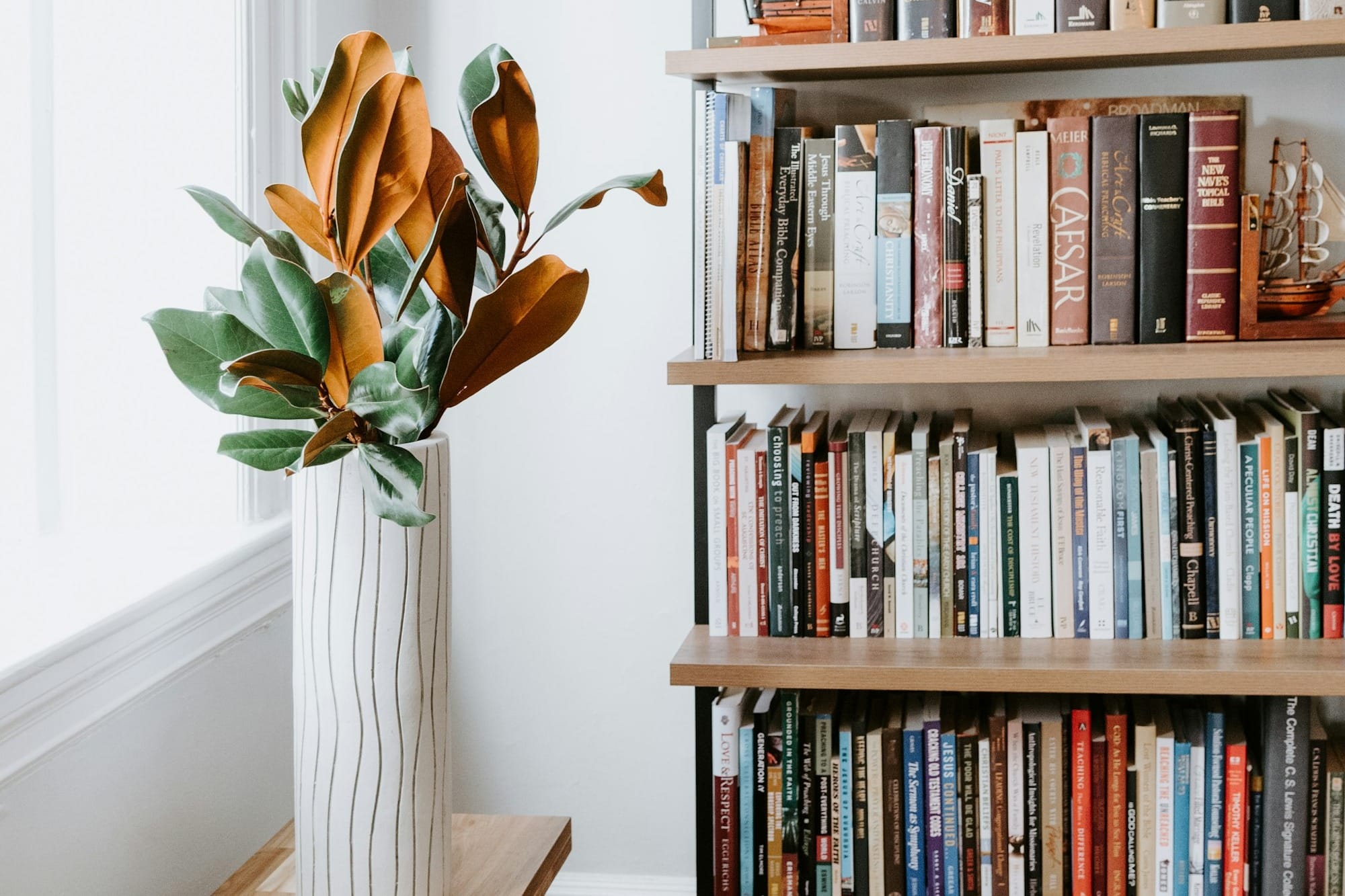 5 Books for October 2025