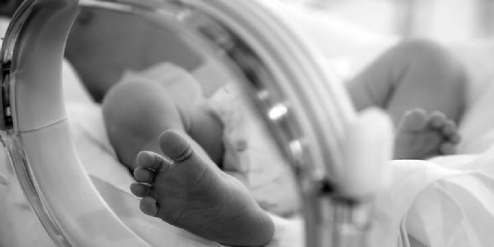Hand to Hold: Support for NICU Parents